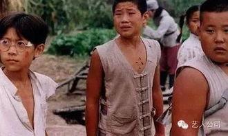 嘎子爆料王宝强视频播放,王宝强视频播放背后的惊人真相  第3张